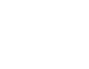logo full white